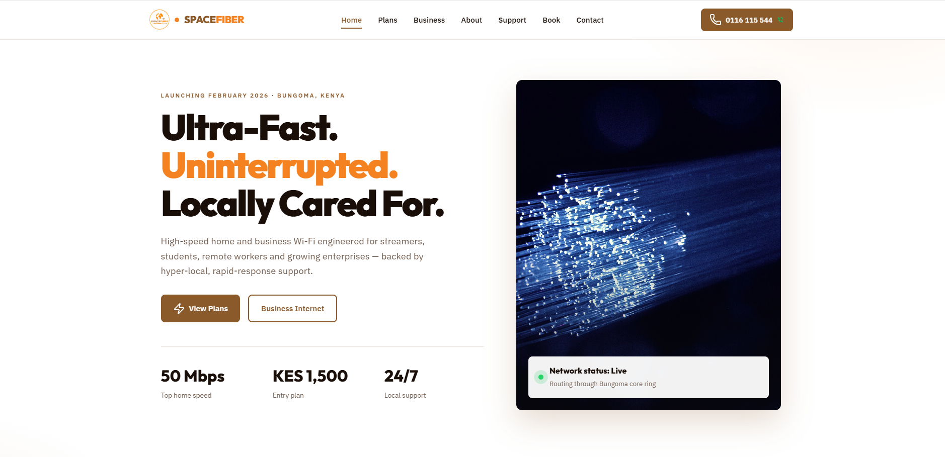Website Development: Project IV