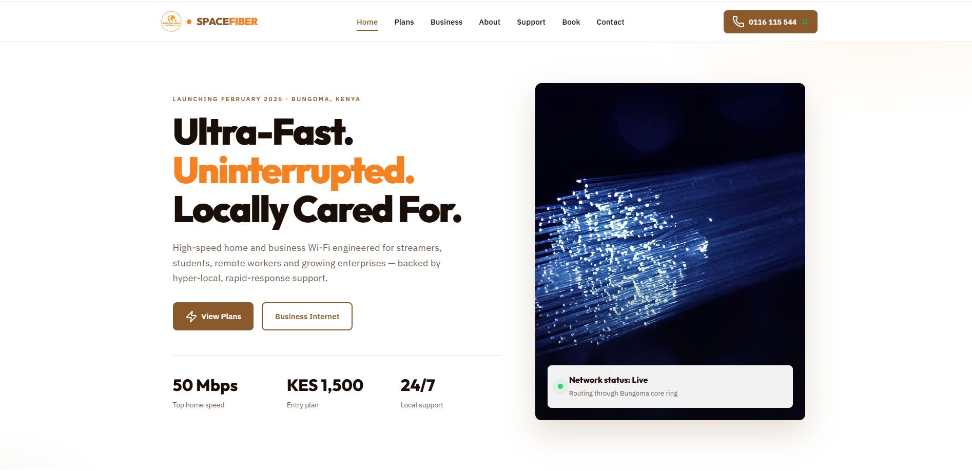 Website Development: Project IV